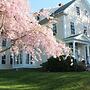 Beech Tree Bed and Breakfast