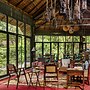 Jim's Jungle Retreat