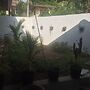 White Lotus Villa