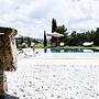 Dojo Bianco