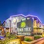 Lemon Tree Hotel & Suites Anaheim