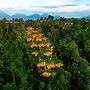 Nandini Jungle by Hanging Gardens