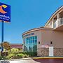 Comfort Inn & Suites Near Universal - N. Hollywood - Burbank