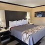 Regency 7 Motel