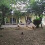 Guests & Dogs House Hale Ilio
