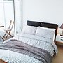 Frangipanistays at 589E
