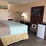 Hotel Lexihill