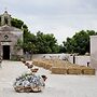 Masseria Fontana di Vite