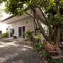 Mild Home Guesthouse