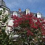 La Maison Jules