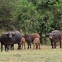Sunset Lodge & Safaris