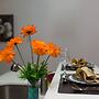 New Kingston Premium Guest Apartment