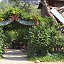 Olympos Doga Pansiyon