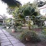 Villa Rafia Guesthouse