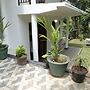Miracle Villa