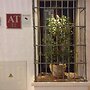 Apartamentos La Ermita