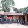 Palmy Home