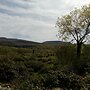 Burren Bushcraft - Camping & Adventures