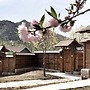 Yun Ju Courtyard Apartment