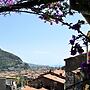 La Terrazza dei Pelargoni B&B