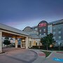 Hilton Garden Inn Dallas/Arlington