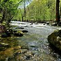 Elk Run On Cosby Creek - 2 Bedrooms, 2 Baths, Sleeps 7 Cabin by RedAwn