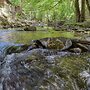 Creek Heaven - 2 Bedrooms, 2 Baths, Sleeps 6 Cabin by RedAwning