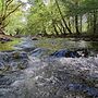 Whispering Creek - 2 Bedrooms, 1 Baths, Sleeps 6 Cabin by RedAwning