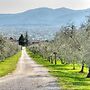 Agriturismo Il Borghetto