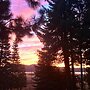 Mountain Pine Cabin - Sleeps 6 - Pet Friendly