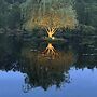 Swan Lake Resort Rentals