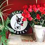 Blacky Hostel - Adults only