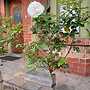 Adelaide Style Accommodation near City