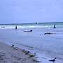 Anna Maria Island 109