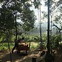 Kandy Village Glamping