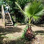 Casa Verde Pichilemu