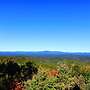 Longview