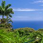 Koana Breeze