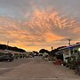 Swell Motel