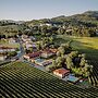 Casa Lata - Wine & Tourism