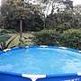 Rooms Flora y Fauna del Arenal