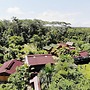 Ecoadventure Amazon