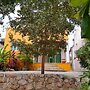 Casa Olivos