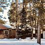 Shepherd Family Retreats- FOX