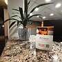 Velora Hinton, Ascend Hotel Collection