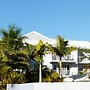 Champelli Palms