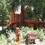 Scenic Wonders Tioga Logs 3 Bedrooms