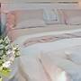 Dignitary Discretion Coachella Valley