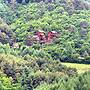 Camp Star Pension