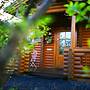 Log Cabin at White River